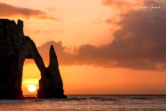 Comme Un Poisson Dans L'Eau Villa Étretat Exterior foto